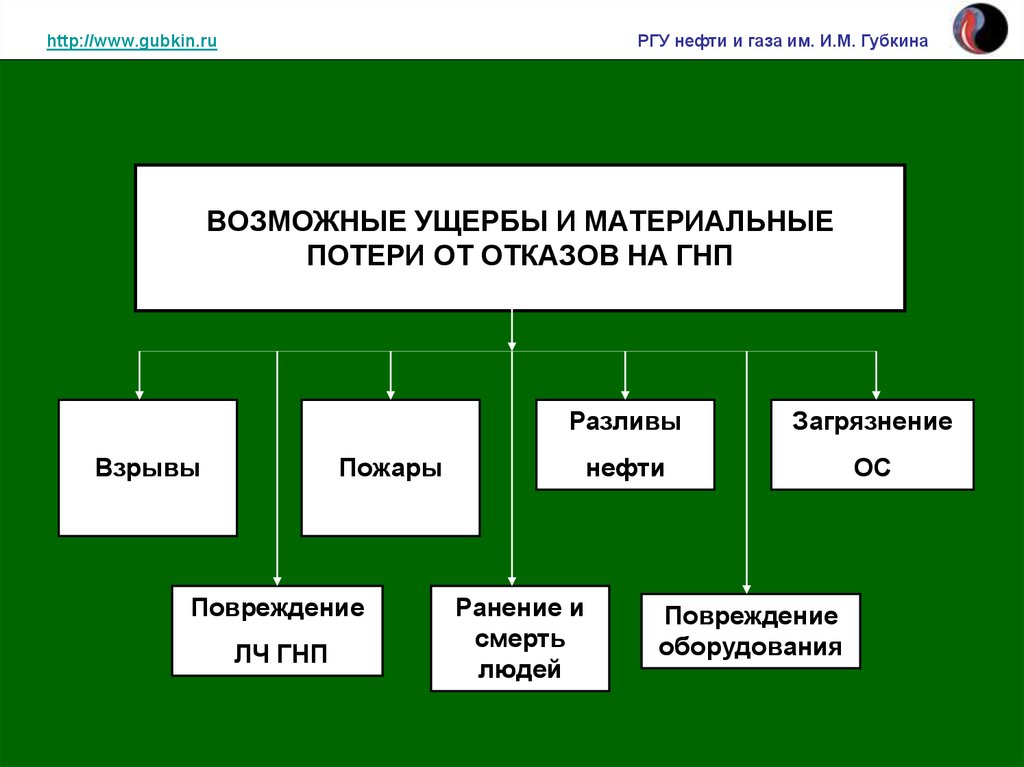 Возможные ущербы. Структура РГУ нефти и газа. Прозвище РГУ нефти и газа.