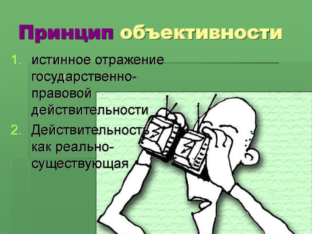 Найди принцип. Принцип объективности. Принцип объектива. Принцип объективности пример. Принцип объективности в психологии.