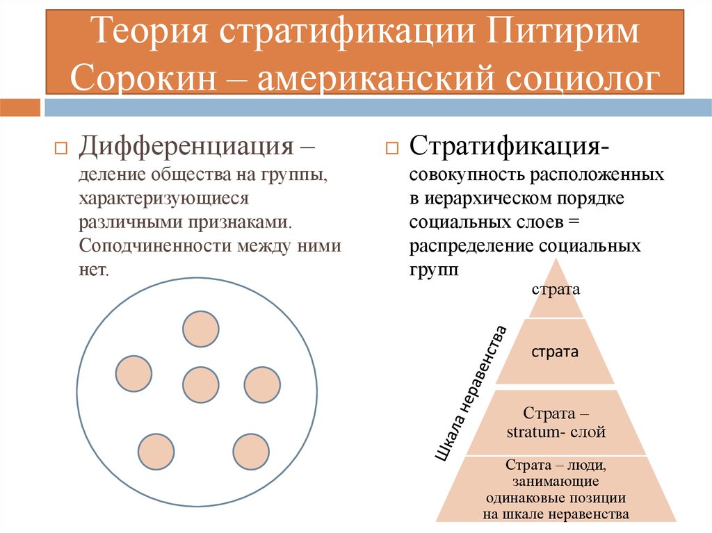 Социальная дифференциация презентация