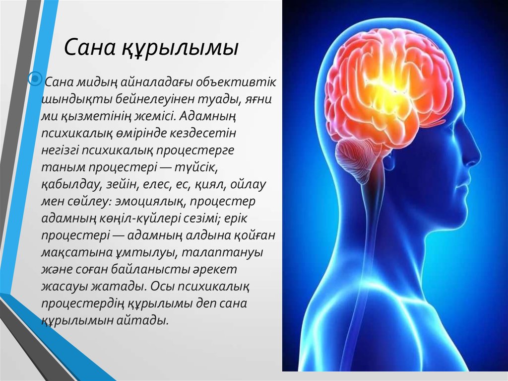 Сана курса. Сана дегеніміз не. Сана және бейсана философия. Психика дегеніміз не. Ми және психика.