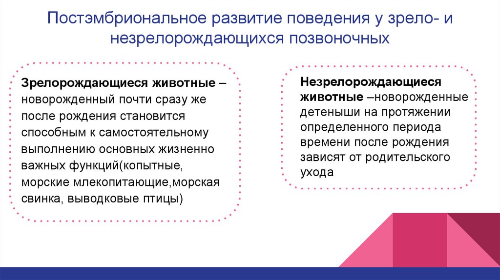 Развитие поведение. Развитие поведения у Зрело и незрелорождающихся позвоночных. Постэмбрионального развития поведения. Общее в процессе онтогенеза незрелорождающиеся и зрелорождающиеся. Возрастные особенности развития у зрелорожденных животных.