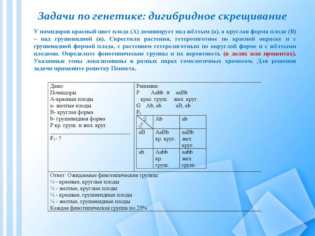 При скрещивании томатов. Задачи на дигибридное скрещивание с решением по генетике 9. Как решать задачи по биологии по генетике. Решение генетических задач на дигибридное скрещивание 10 класс. Генетические задачи по биологии 10 класс с решениями.