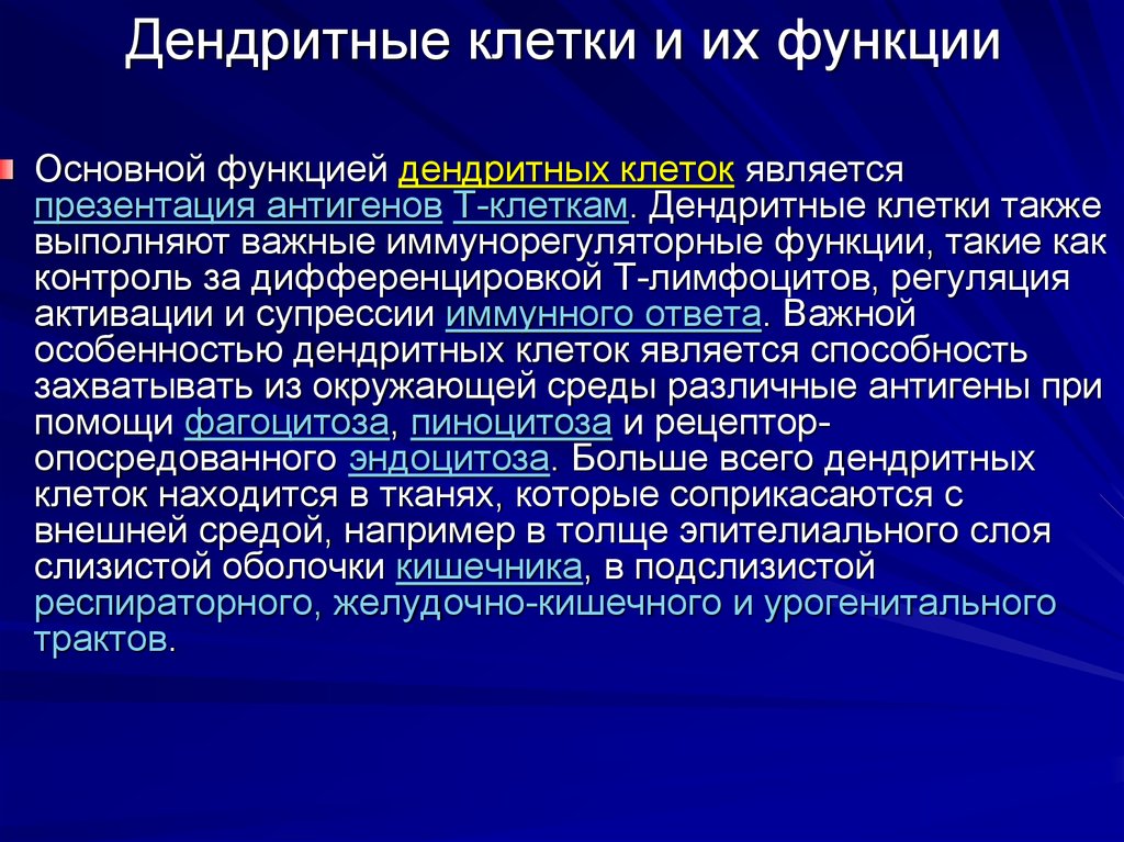 Функции клеточной системы. Миелоидные дендритные клетки функция. Дендритные клетки функции. Функция дендритных клеток иммунной системы. Дендритные клетки иммунитет.