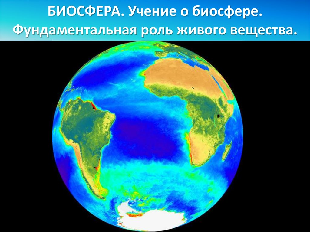 Живое вещество в земной коре. Биосфера. Экваториал. Апвеллинг. Учение Вернадского о биосфере.