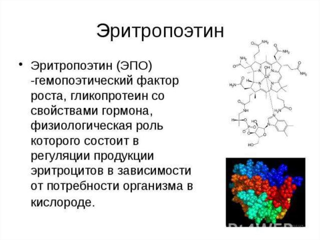 Фактор роста гормон. Эритропоэтин структура биохимия. Структура гормона эритропоэтина. Химическая природа и роль эритропоэтина. Эритропоэтин биохимия формула.