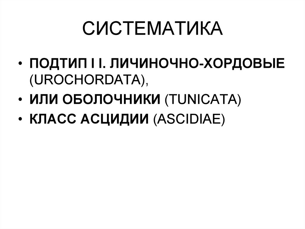 СИСТЕМАТИКА