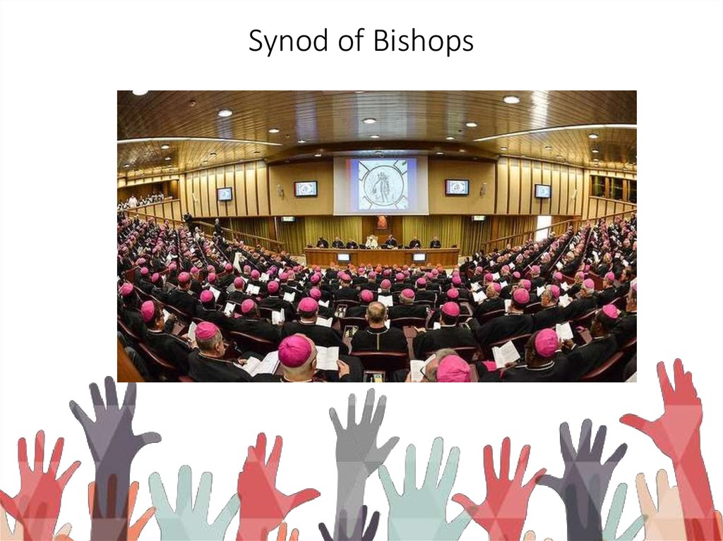 Synod of Bishops