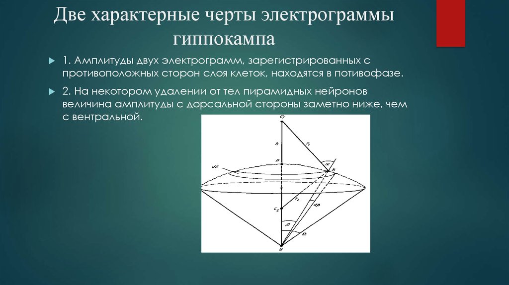 Двух характерный. Электрограммы.