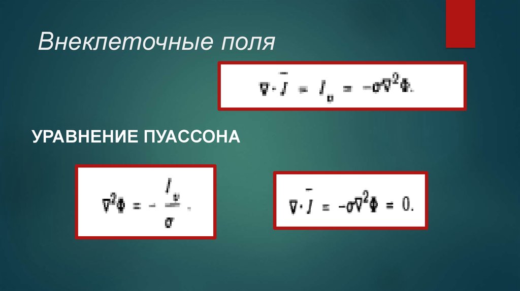 Поле уравнения. Уравнение поля. Напишите уравнение поля. Добавим в уравнение поля.