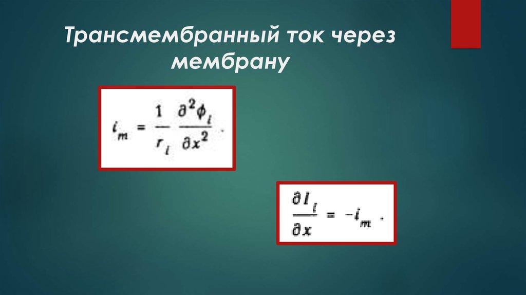 Трансмембранный ток через мембрану