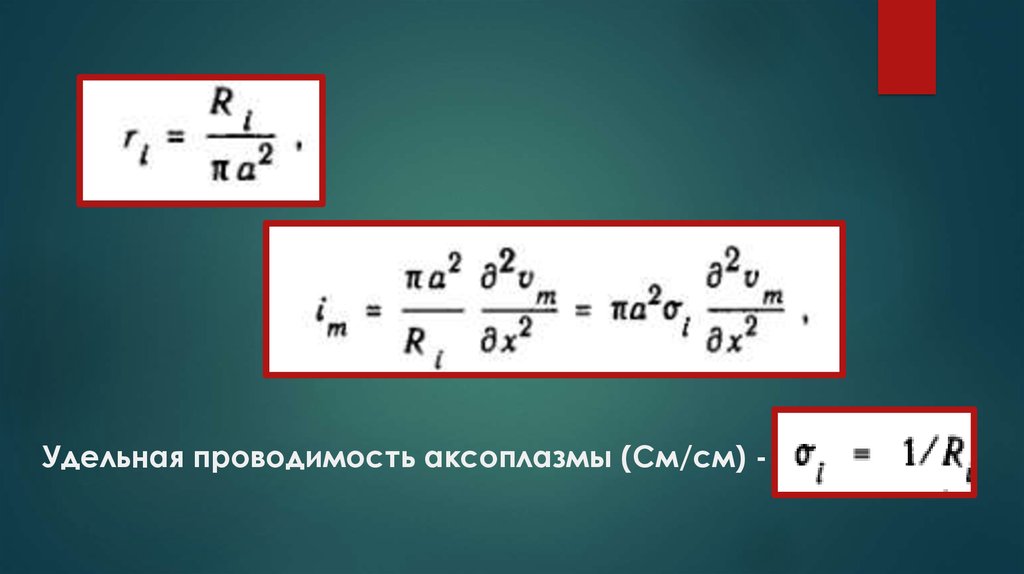 Удельная проводимость аксоплазмы (См/см) -