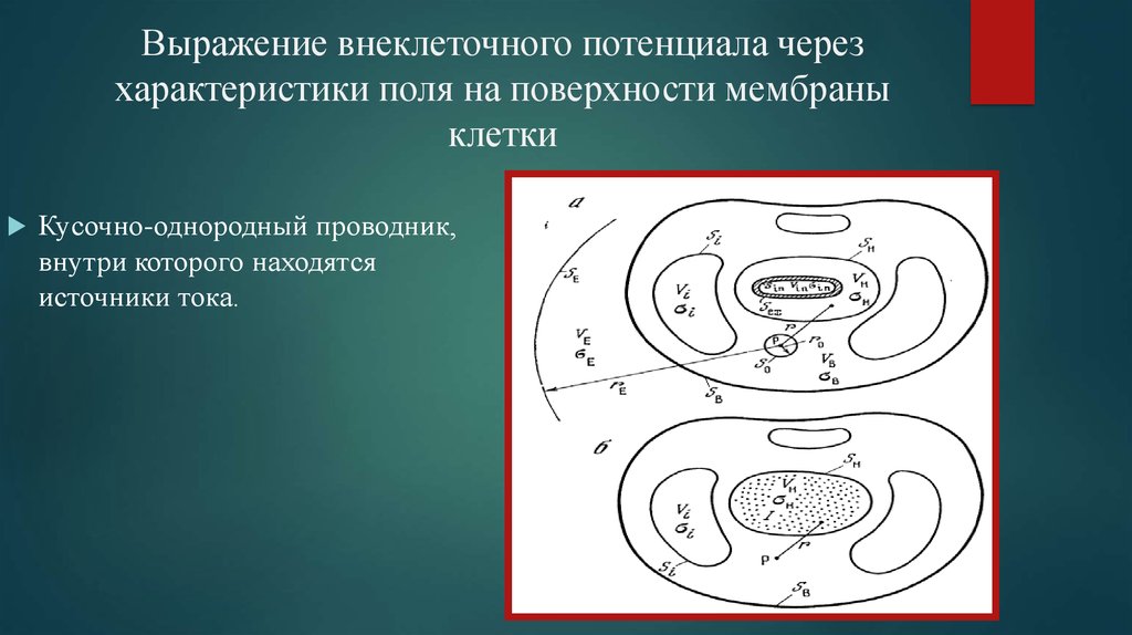 Выражение внеклеточного потенциала через характеристики поля на поверхности мембраны клетки