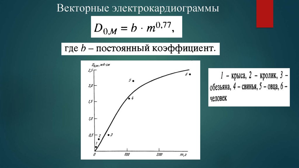 Векторные электрокардиограммы