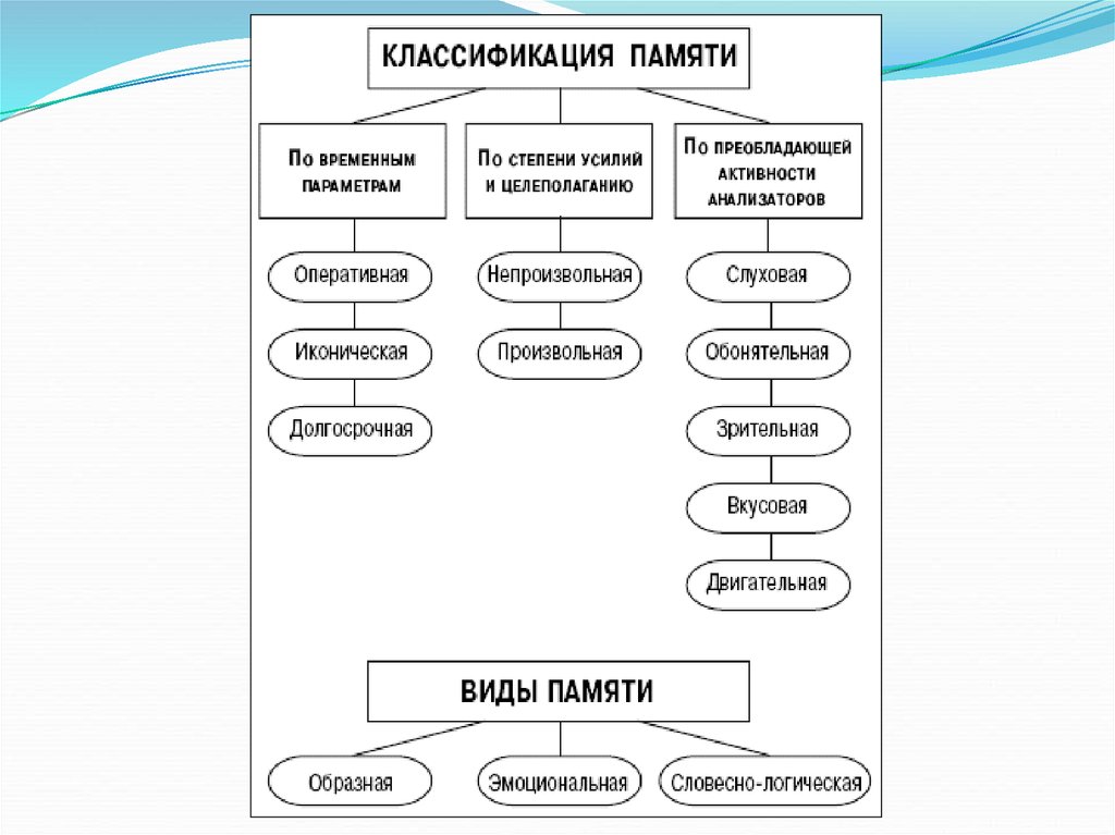 Методы памяти. Классификация памяти в психологии. Методы исследования памяти. Классификация основных видов памяти. Классификация видов памяти в психологии.