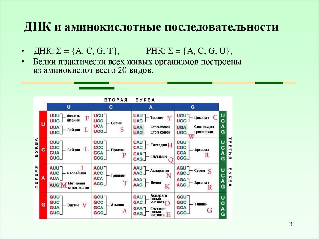 Изменение аминокислот последовательности белков. Аминокислотная последовательность. Последовательность ами. Аминокислотная последовательность ДНК. Аоследовательностьаминксилот.