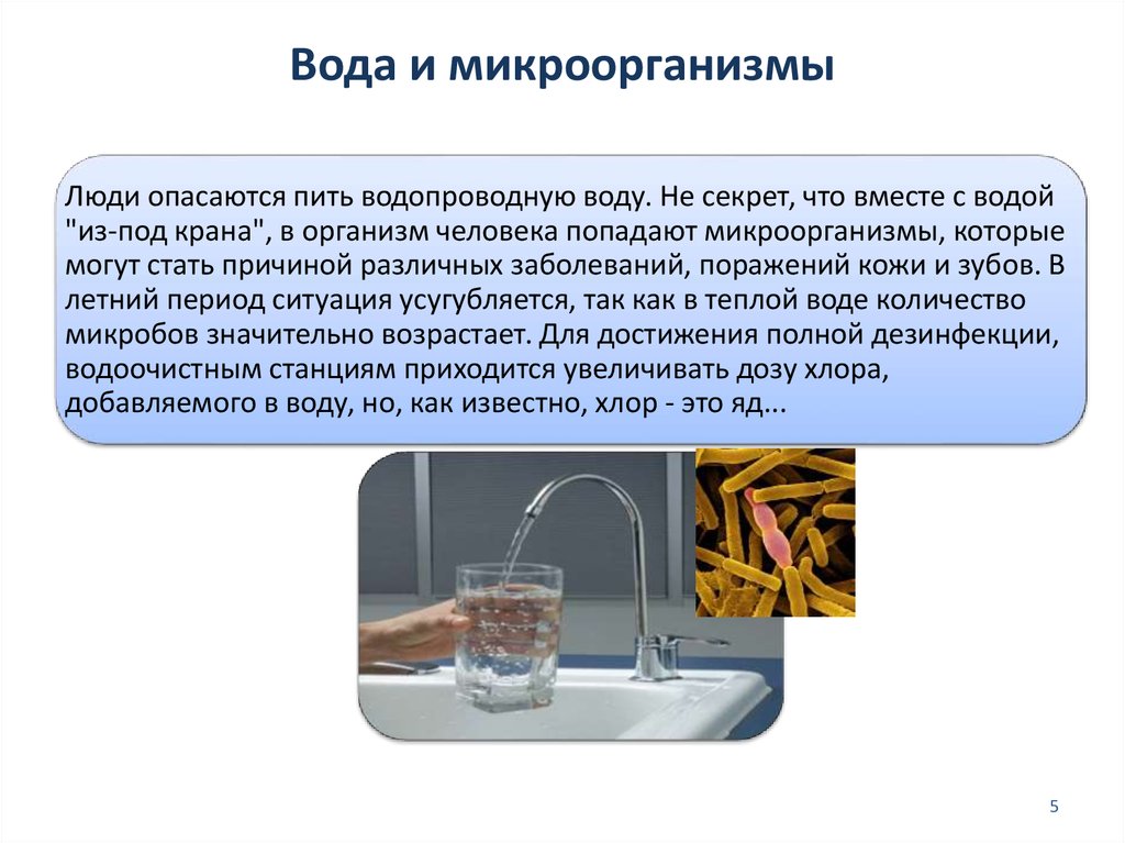Вода и микроорганизмы