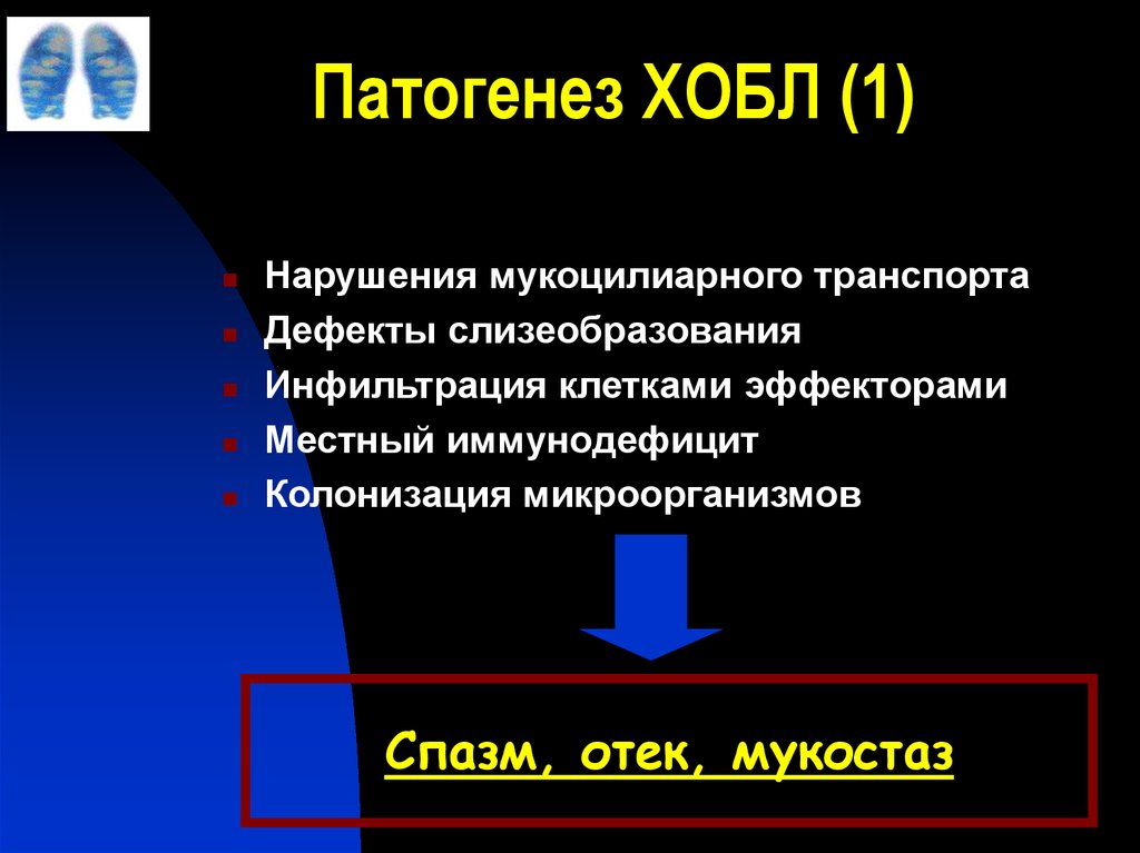 Бронхообструктивный синдром презентация казакша