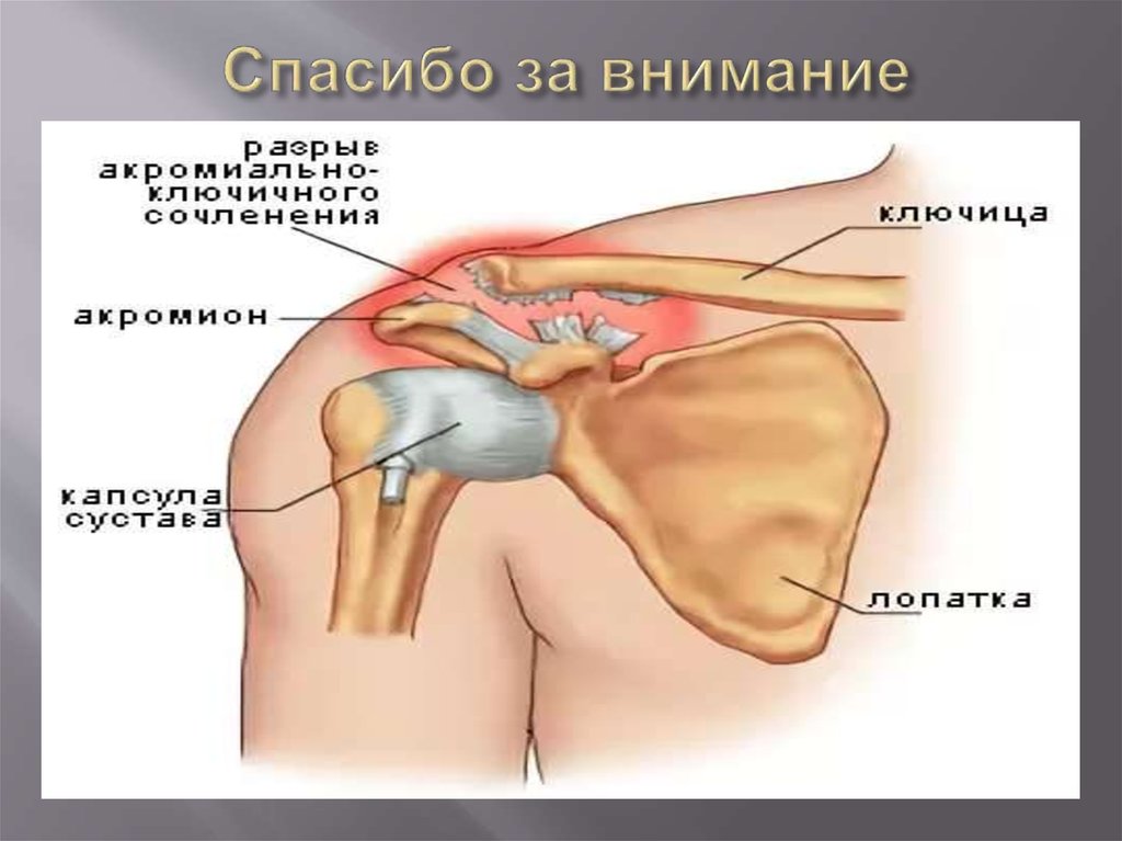 Спасибо за внимание