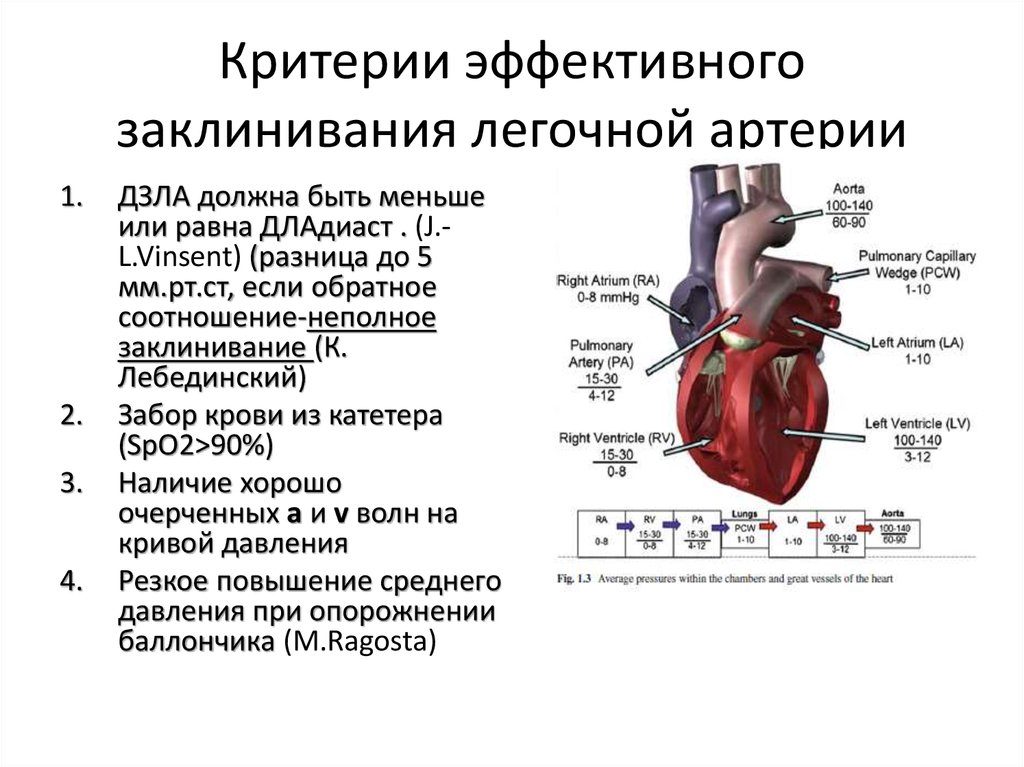 Давление в легочной артерии