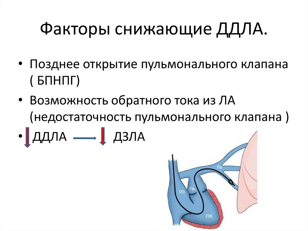 Позднее открытие