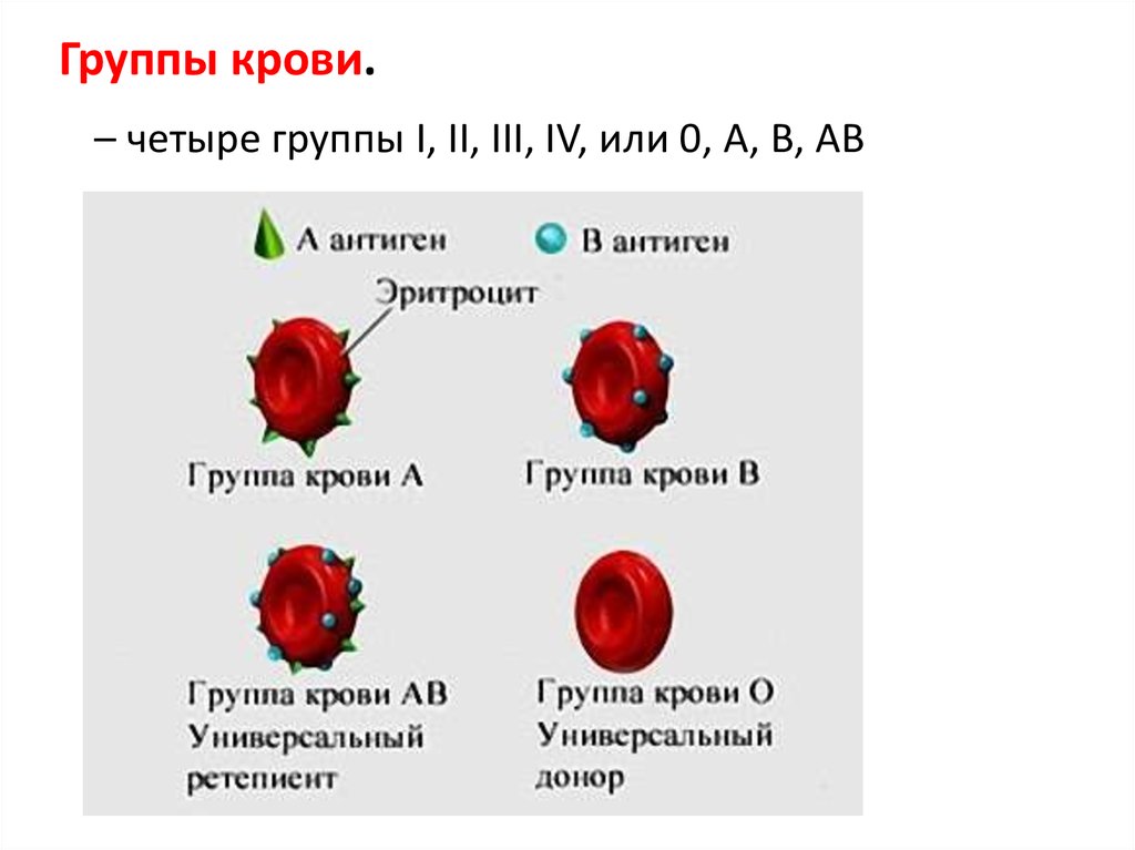 Антиген. Антитело - презентация онлайн