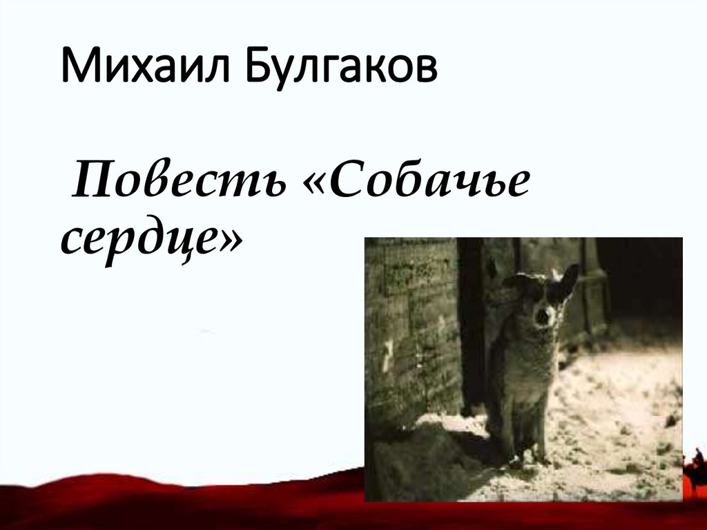 Новый человек в изображении булгакова в повести собачье