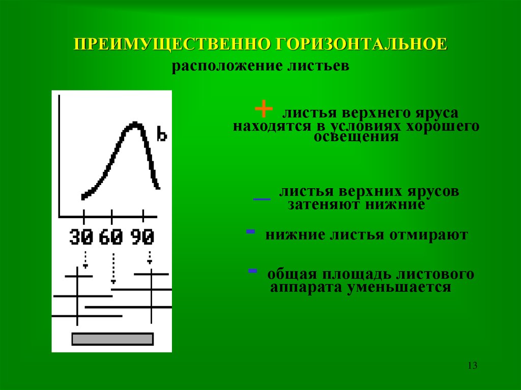 Горизонтально расположенный лист. Горизонтальное расположение. Радиационный режим. Доклад горизонтальное расположение. Горизонтальное расположение листа.