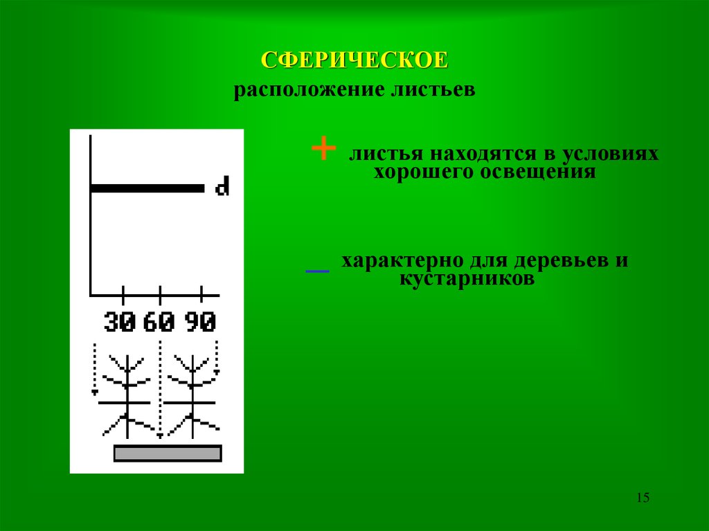 Горизонтально расположенный лист. Вертикальное расположение листа. Горизонтальное расположение листа.