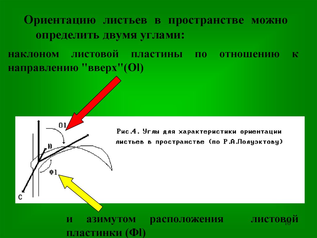 Ориентация бумаги. Ориентация листа определение. Листовая ориентация листа. Ориентированные углы в пространстве. Ориентация на листе.