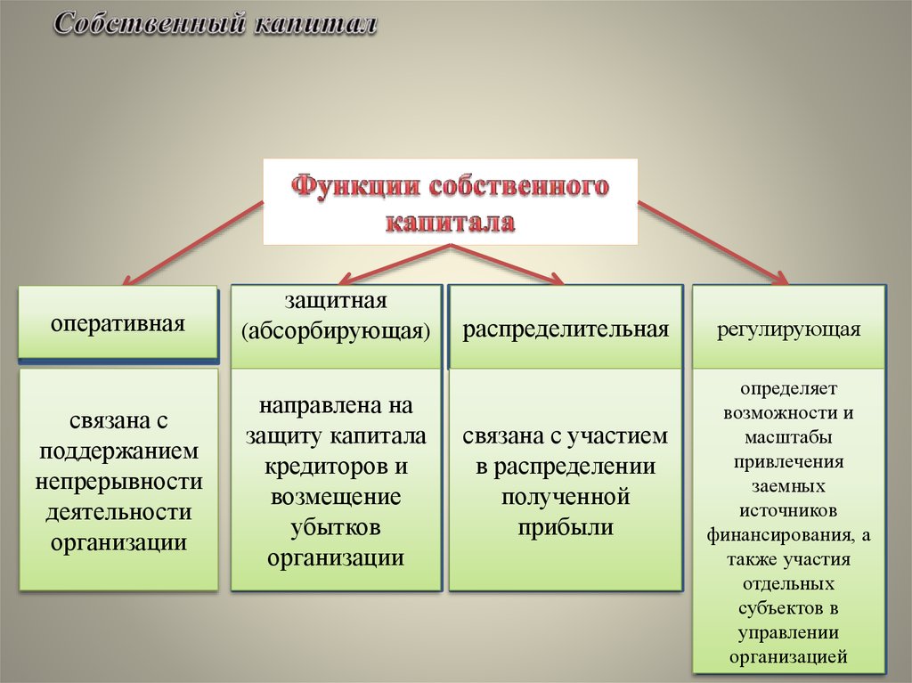 Учет собственного и заемного капитала презентация