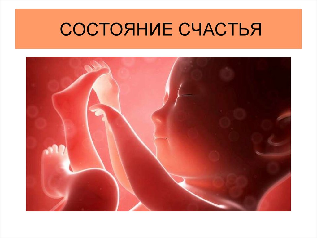 СОСТОЯНИЕ СЧАСТЬЯ