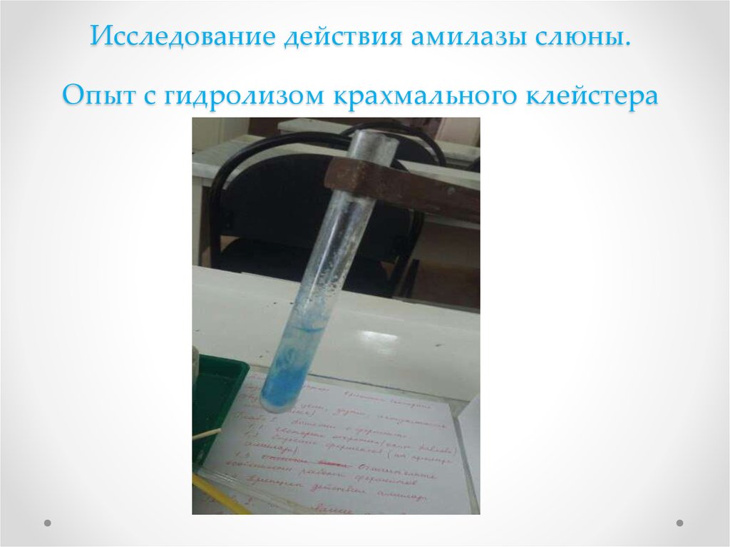 Исследование в действии. Определение активности амилазы слюны. Изучение активности фермента слюны амилазы. Определение активности амилазы слюны по Вольгемуту. Количественное определение активности амилазы слюны по Вольгемуту.