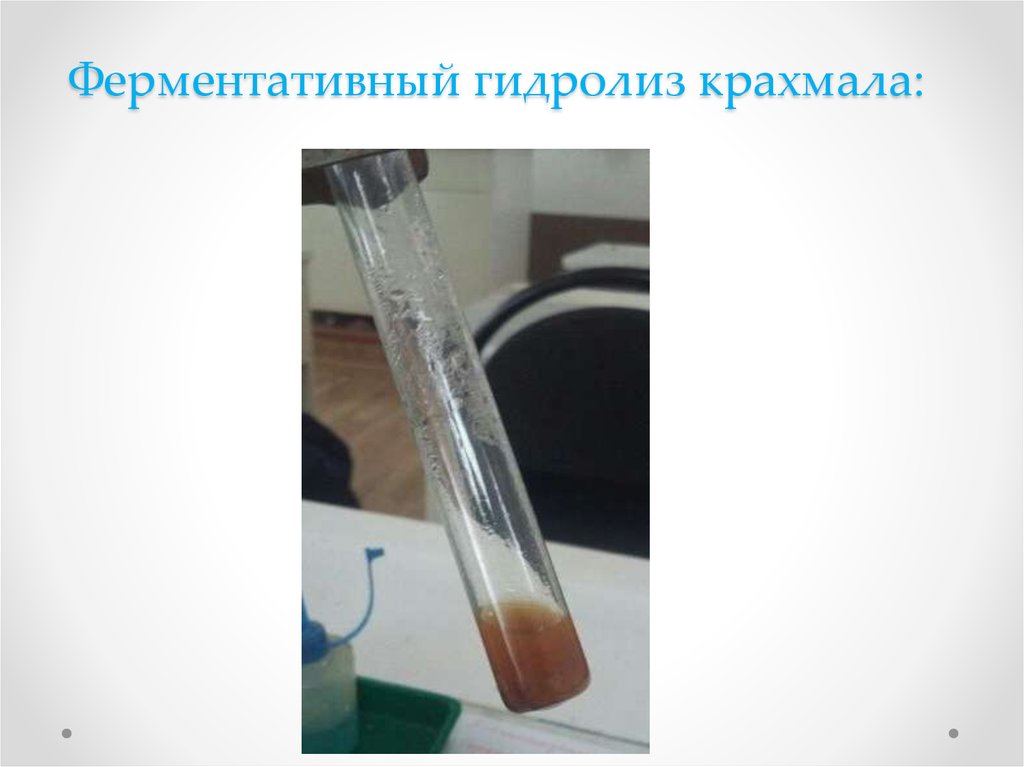 Ферментативный гидролиз крахмала: