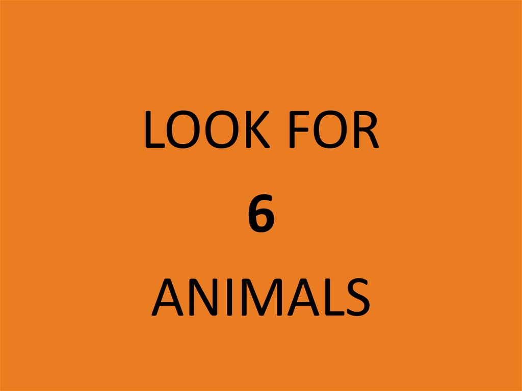 game-discover-the-animals-online-presentation