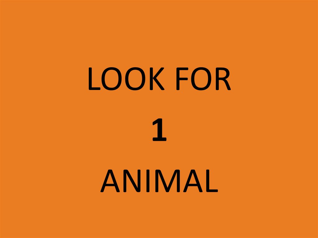 game-discover-the-animals