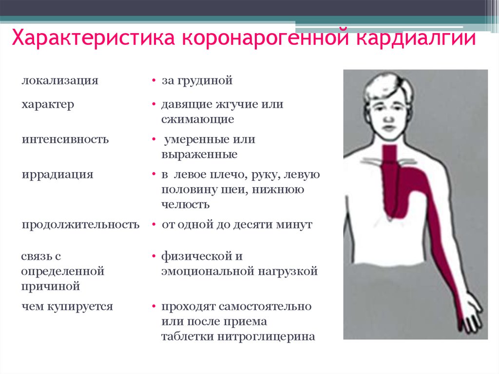 Левая половина грудной клетки. Кардиалгия. Синдром кардиалгии. Причины кардиалгии. Характеристика кардиалгии.