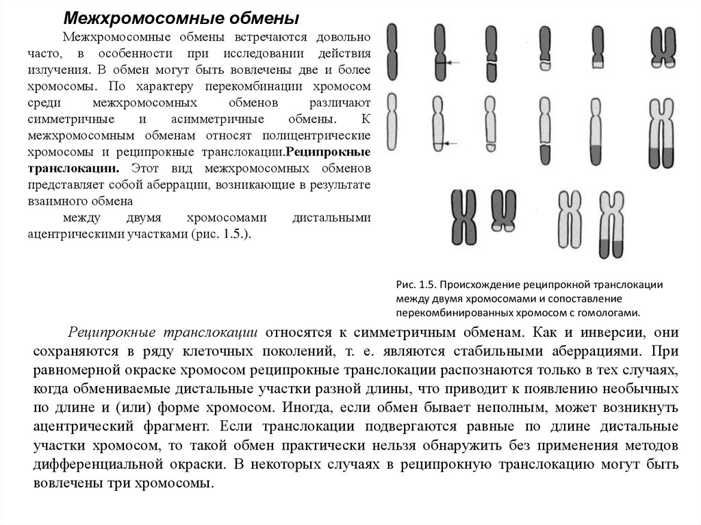 Хромосомные аберрации. Межхромосомные. Межхромосомные аберрации. Межхромосомный обмен. Аберрации хромосом презентация.