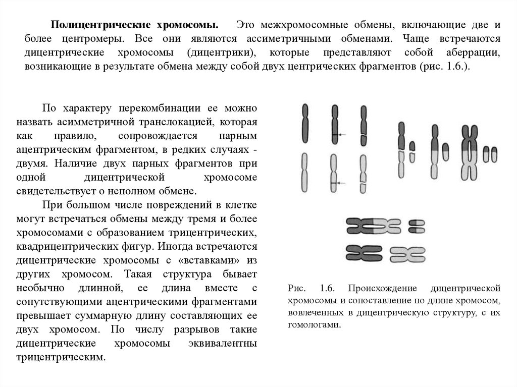 Хромосомные аберрации. Дицентрические хромосомы. Образование дицентрической хромосомы. Хромосомные аберрации дицентрики. Фрагмент хромосомы.