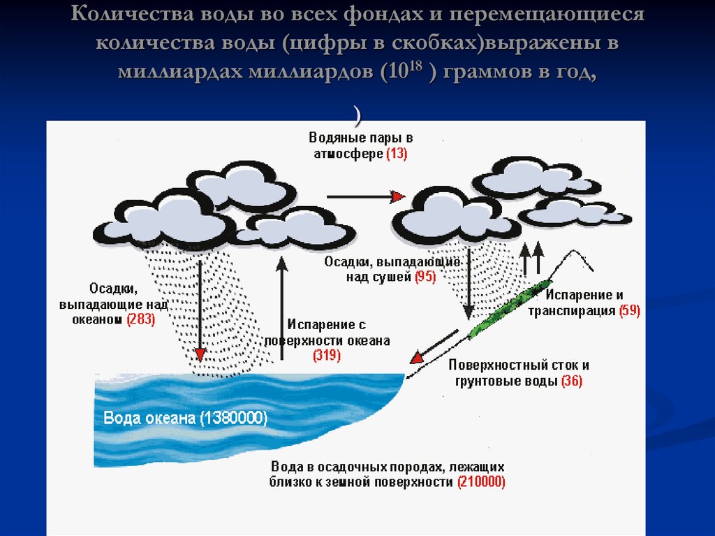 Составьте схемы биогеохимических циклов воды и кислорода