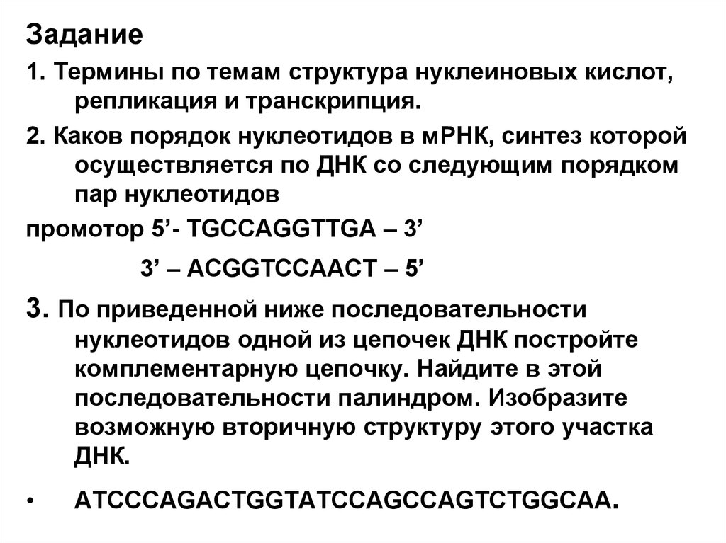 Палиндромы нуклеиновых кислот. Транскрипция биотехнология. Задачи молекулярной биотехнологии