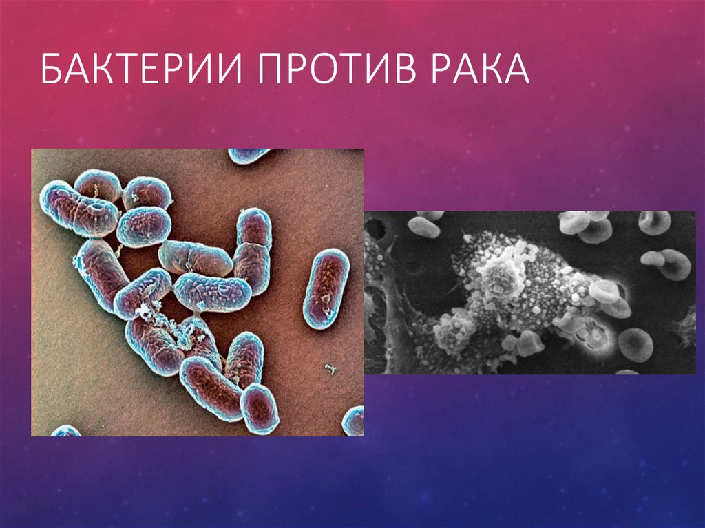 Вирусы и микробы. Против бактерий и вирусов лекарства. Семья микробов арт. Микробы против микробов. Иммунитет против бактерий.