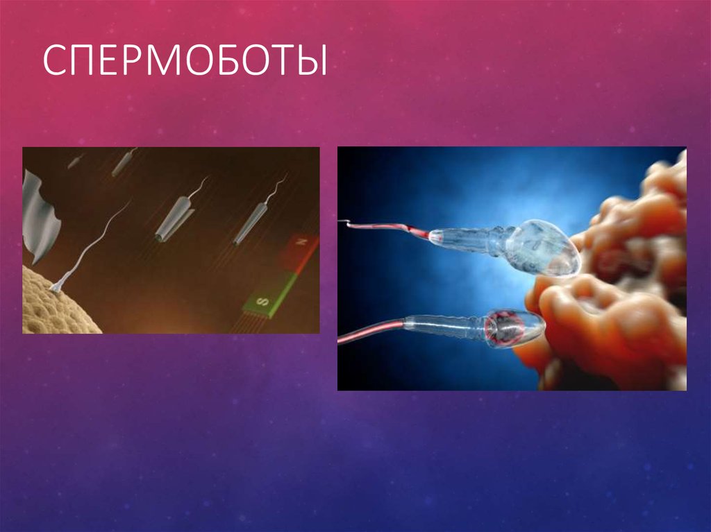 Спермоботы