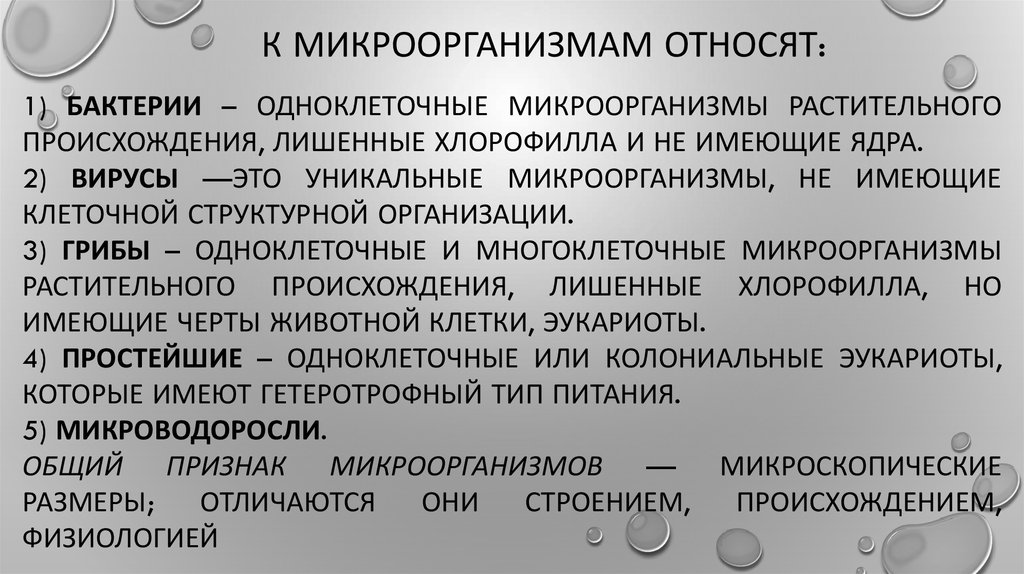 К микроорганизмам относятся