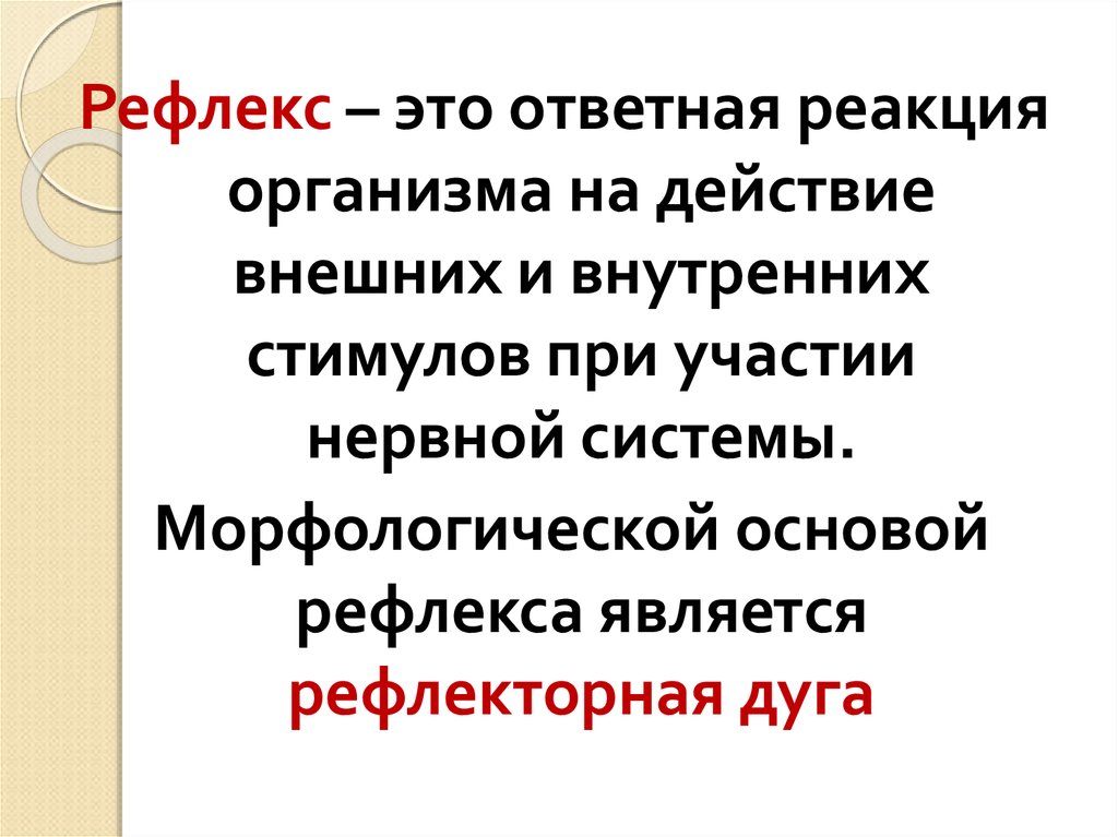 Рефлекторная деятельность нервной системы 8 класс