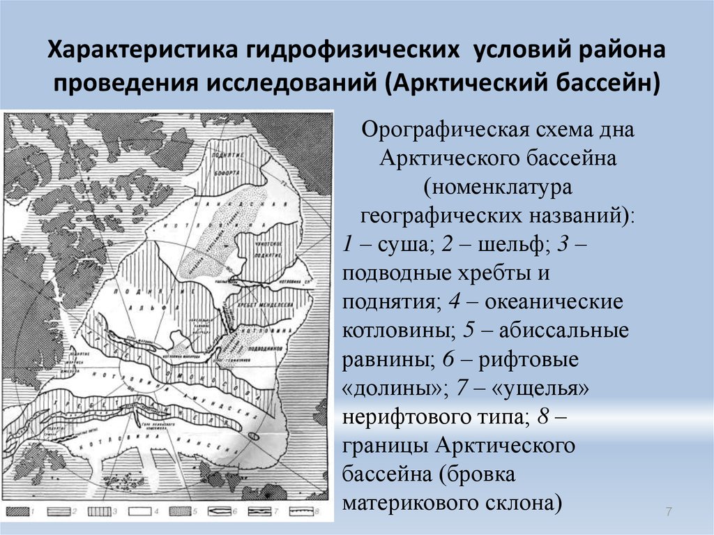 Арктический бассейн специализация