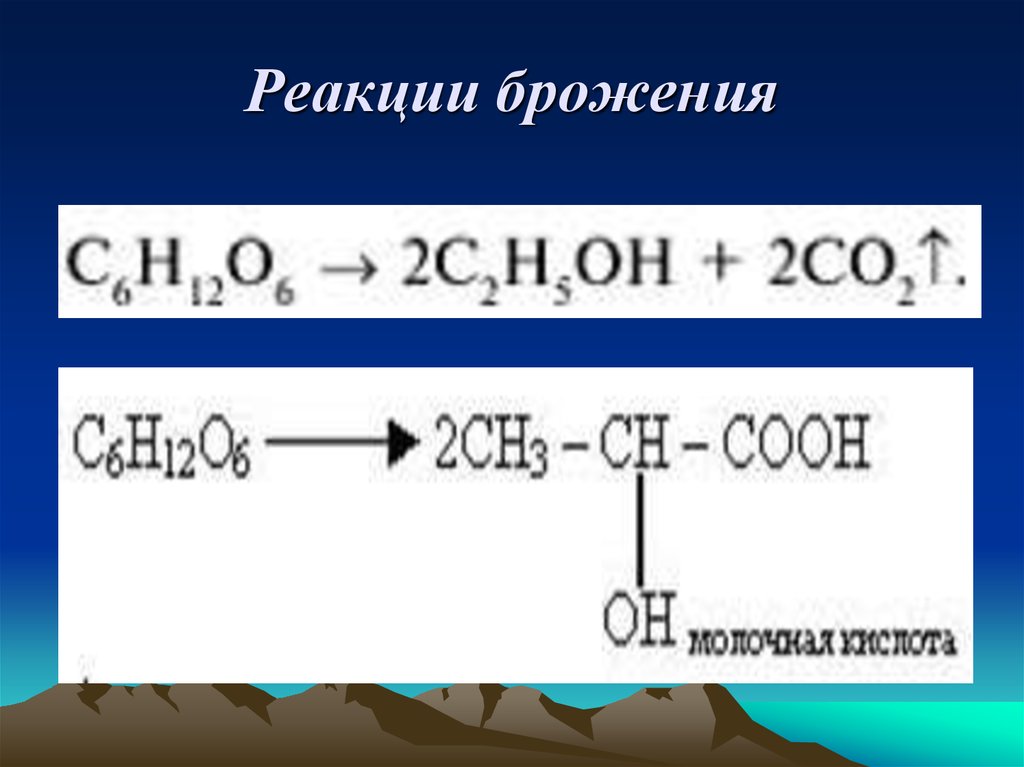 Реакция молочнокислого брожения глюкозы