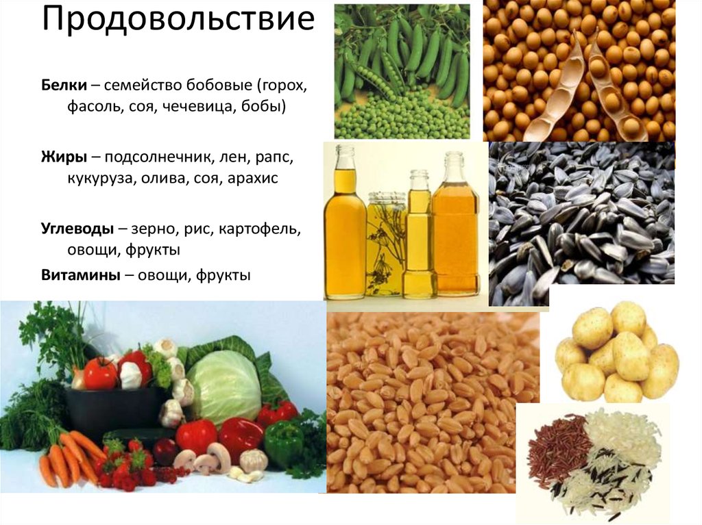 Горох это углеводы или белки. Бобовые в жизни человека. Роль бобовых в жизни человека. Значение бобовых в жизни человека. Значение семейства бобовых.