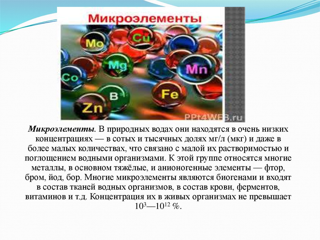 Где наблюдается наименьшая концентрация живых организмов