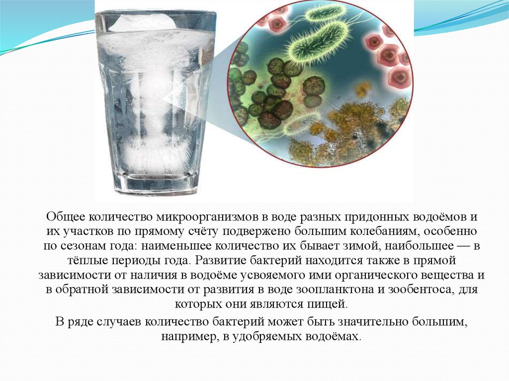 Роль бактерий в воде. Количество микроорганизмов в воде. Общее количество микроорганизмов в воде. Общее количество бактерий в воде. Бактерии в воде.