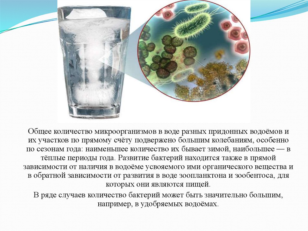 Вода в составе микроорганизмов